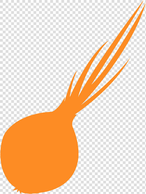 Silueta De Cebolla De Color  HD Png DownloadTransparent PNG