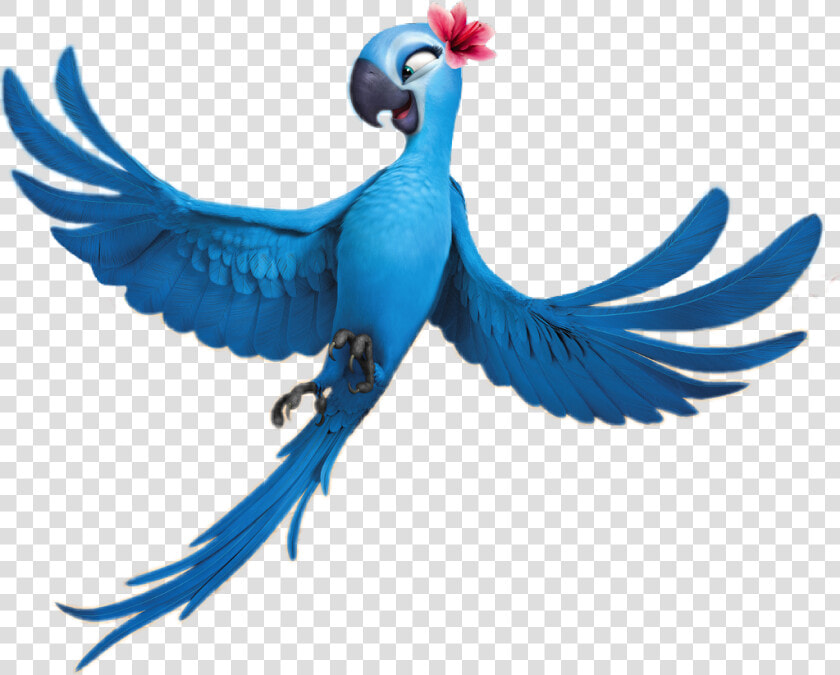 Bird Clipart Rio   Jewel Rio  HD Png DownloadTransparent PNG