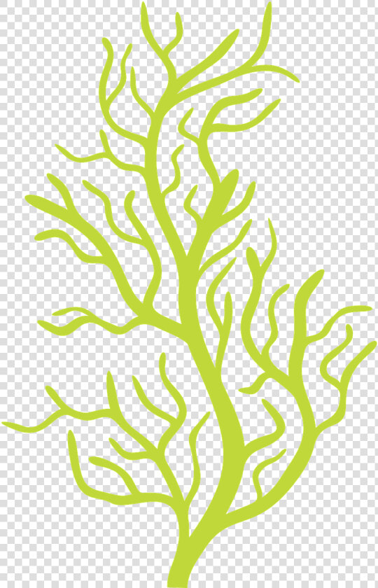 Vector Transparent Download Http Fazendoarte Minus   Bubble Guppies Seaweed Png  Png DownloadTransparent PNG