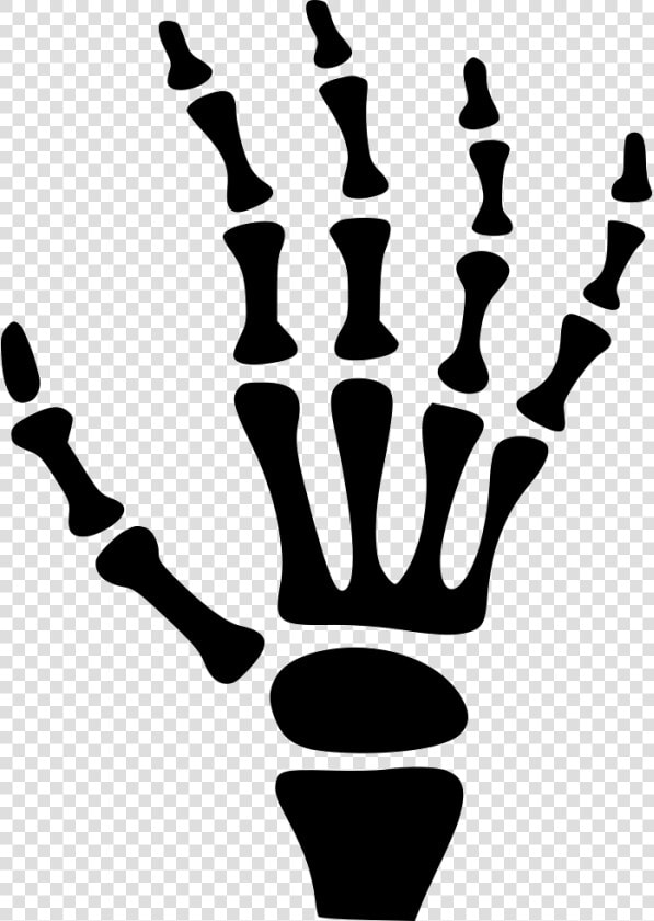 Carpal Bones Human Skeleton Hand   Cartoon Skeleton Hands Clipart  HD Png DownloadTransparent PNG