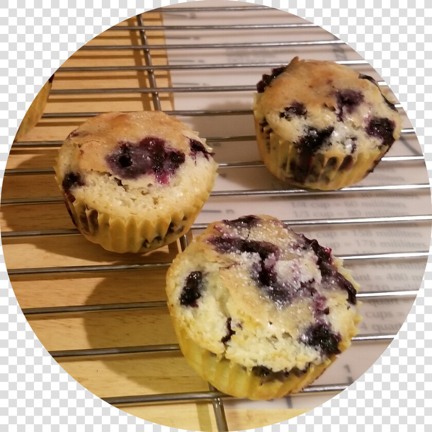 The Sweetest Blueberry Muffins Recipe   Png Download   Muffin  Transparent PngTransparent PNG