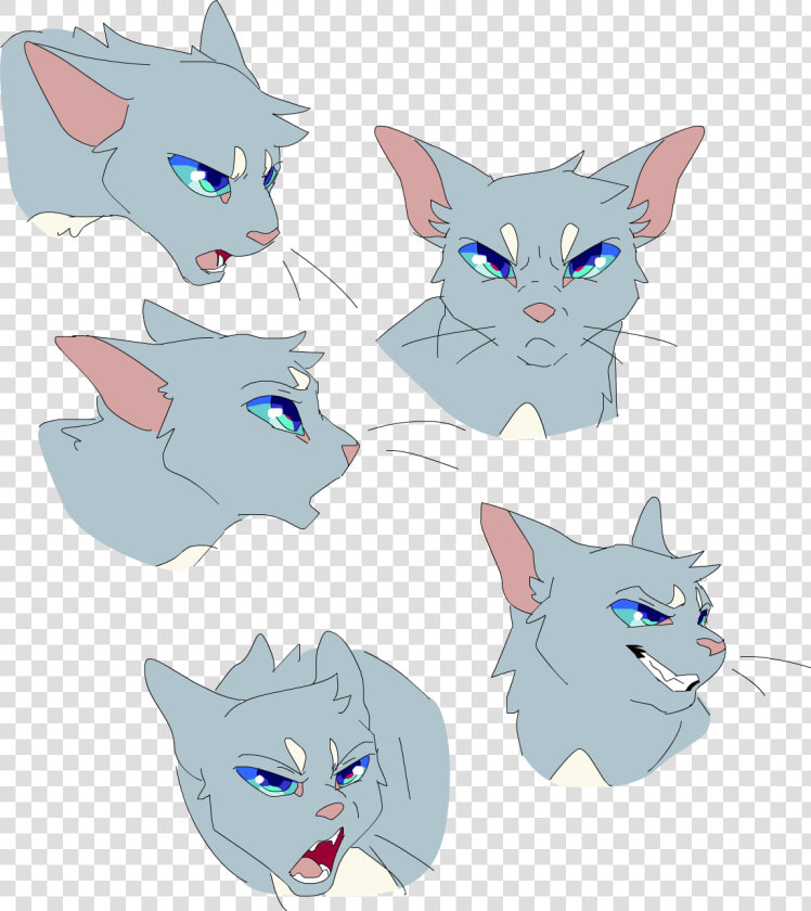 Warrior Cats Meow 286  HD Png DownloadTransparent PNG