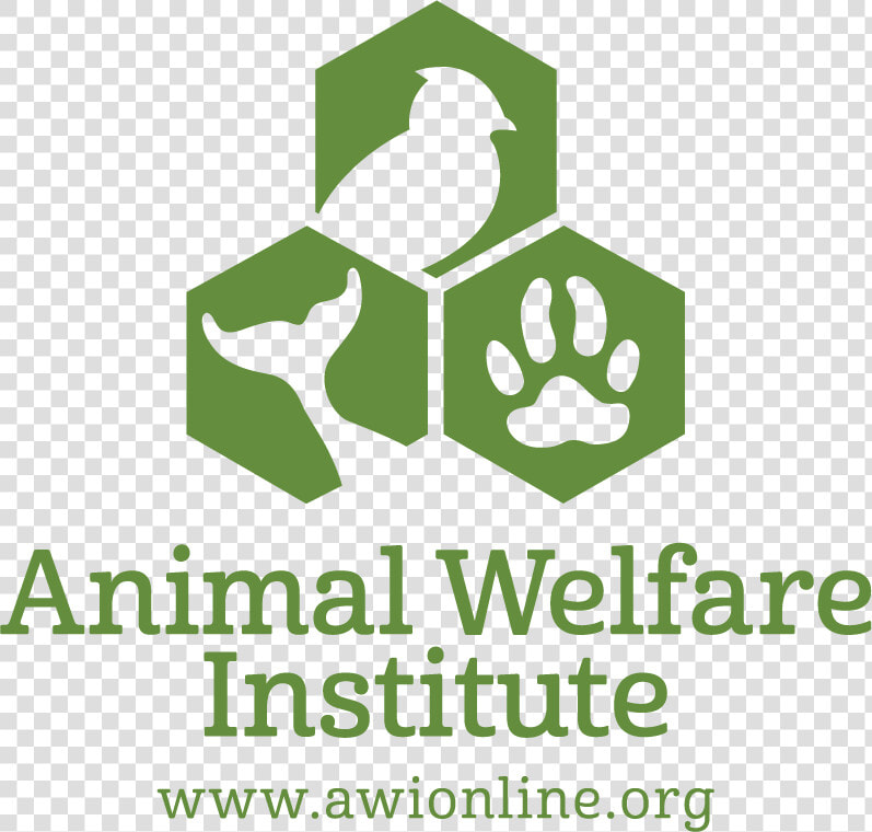 18 Awi Logo Vertical Green   Animal Welfare Institute  HD Png DownloadTransparent PNG