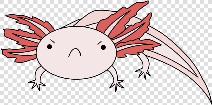 Image   Drawing Sad Axolotl  HD Png DownloadTransparent PNG