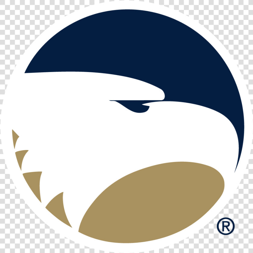 Georgia Southern University Division Of Continuing   Georgia Southern University Colors  HD Png DownloadTransparent PNG