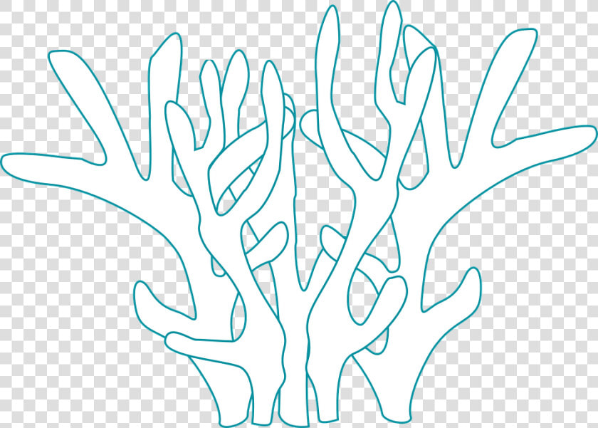 Coral  Underwater  Plant  Fauna  Marine   Calligraphy  HD Png DownloadTransparent PNG