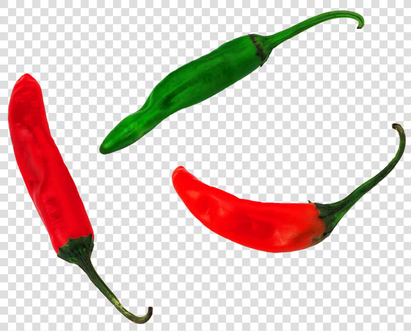 Transparent Pepper Plant Png   Bird  39 s Eye Chili  Png DownloadTransparent PNG