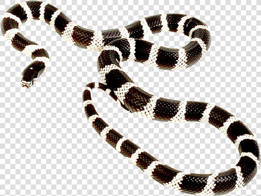 Snake Png Long   Post Malone Goodbyes Cover  Transparent PngTransparent PNG