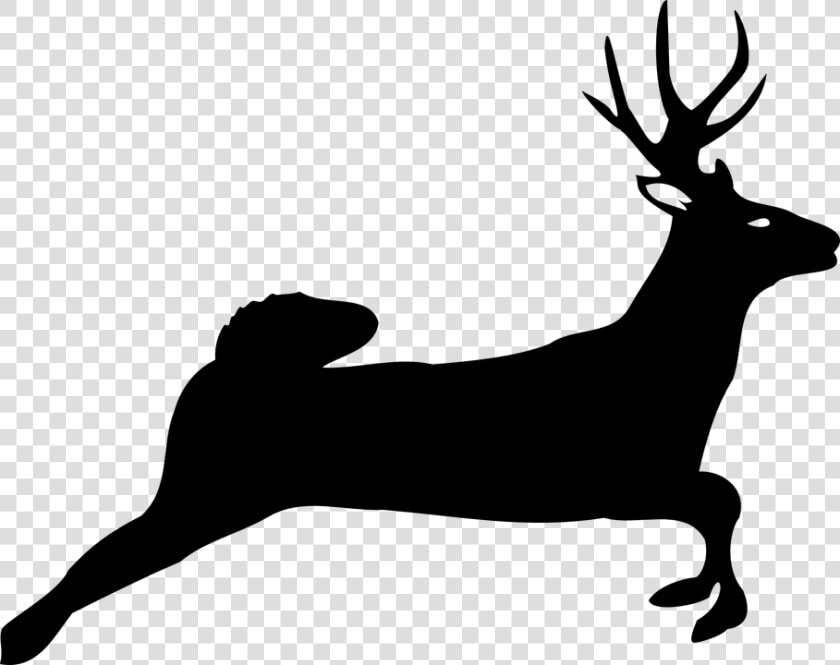 Deer Jumping   White Tailed Deer Silhouette  HD Png DownloadTransparent PNG