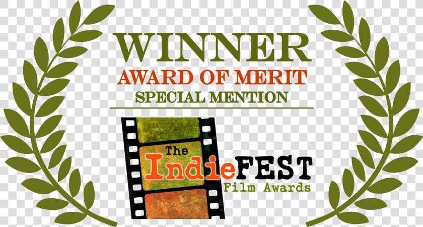 Award Of Excellence Indiefest Film Awards  HD Png DownloadTransparent PNG