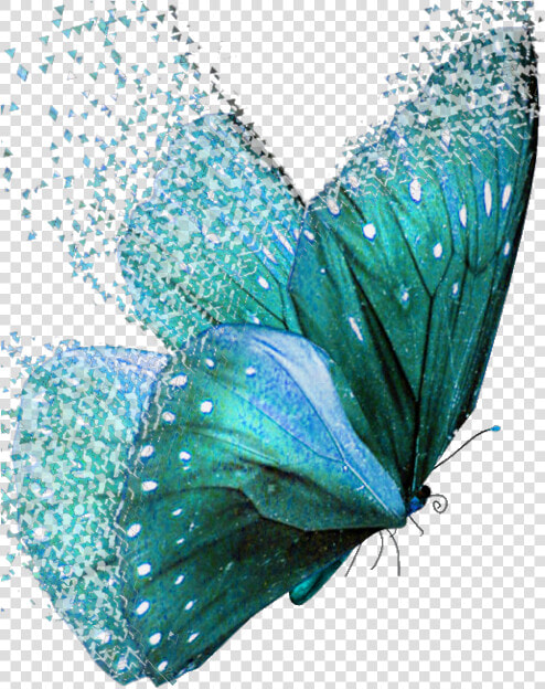  dispersion  butterflies  teal   Teal Colored Butterflies  HD Png DownloadTransparent PNG