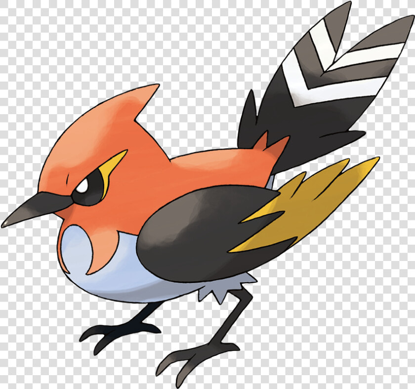 Fletchinder   Pokemon Fletchinder  HD Png DownloadTransparent PNG