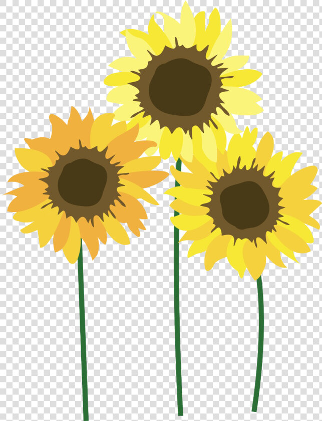 Sunflower Png Image Download   Transparent Sunflower Field Clipart  Png DownloadTransparent PNG