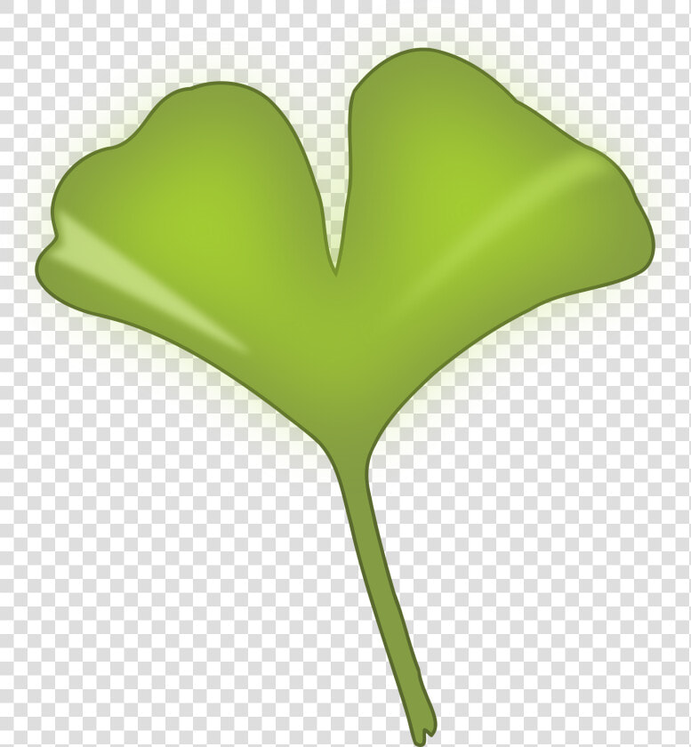 Ginkgo Biloba Leaf Clip Arts   Ginkgo Biloba Leaf Png  Transparent PngTransparent PNG