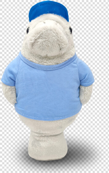 Denis Daily Messenger Manatee  HD Png DownloadTransparent PNG