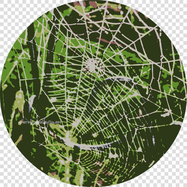 Transparent Cobwebs Png   Spider Web  Png DownloadTransparent PNG