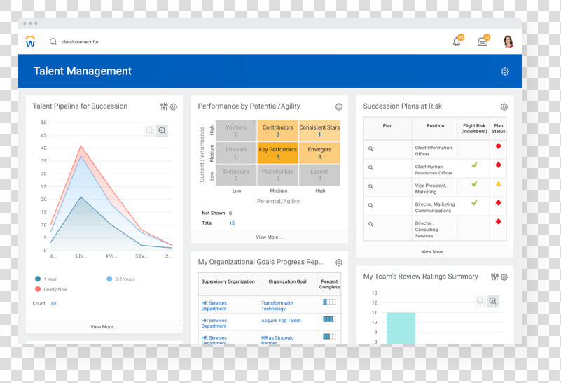 Workday Total Rewards Statement  HD Png DownloadTransparent PNG