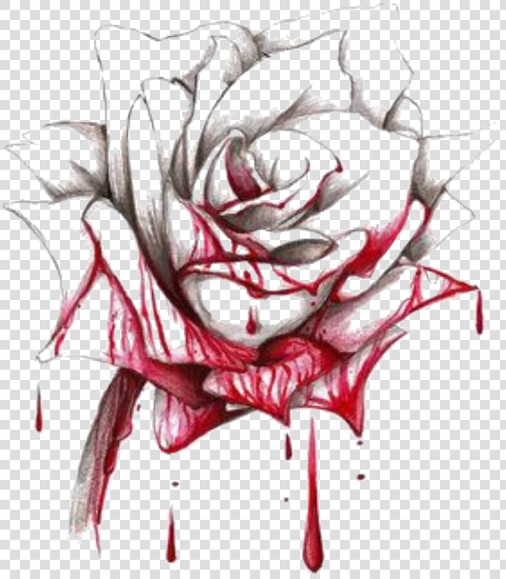 Transparent Bloody Rose Png   Bleeding Rose Drawing  Png DownloadTransparent PNG