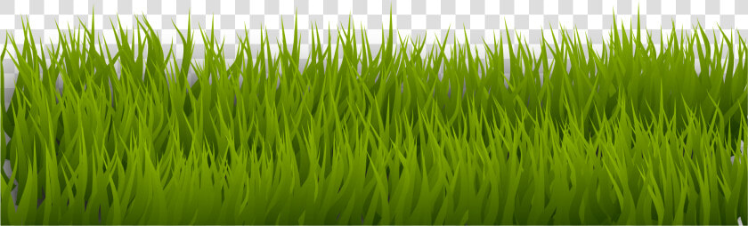 Grass 1 Clip Arts   Grass Drawing Png Transparent  Png DownloadTransparent PNG