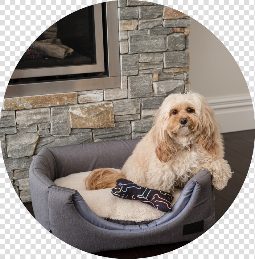 La Doggie Vita Water Resistant Dog Cube New  HD Png DownloadTransparent PNG