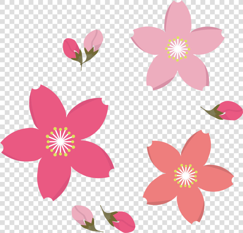 無料イラスト 花束 パブリックドメインq著作権フリー画像素材集   Drawing Cherry Blossom Clipart  HD Png DownloadTransparent PNG