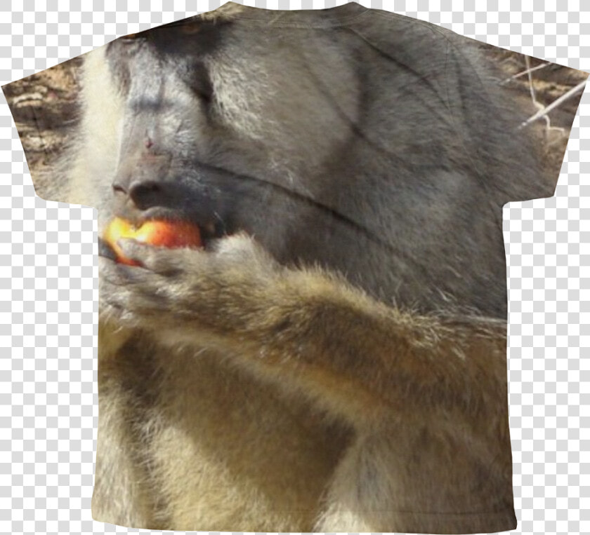 Baboon  HD Png DownloadTransparent PNG