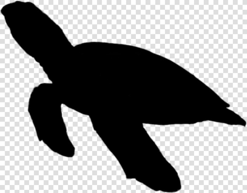 Turtle Silhouette Png   Clipart Sea Turtle Silhouette  Transparent PngTransparent PNG