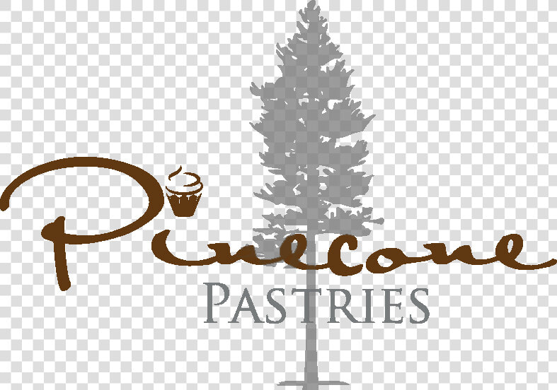 Pinecones Png  Transparent PngTransparent PNG