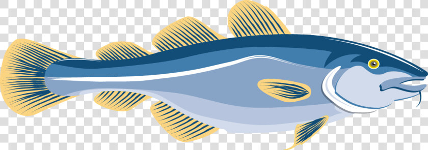 Fish At Getdrawings Com   Cod Fish Clipart Png  Transparent PngTransparent PNG