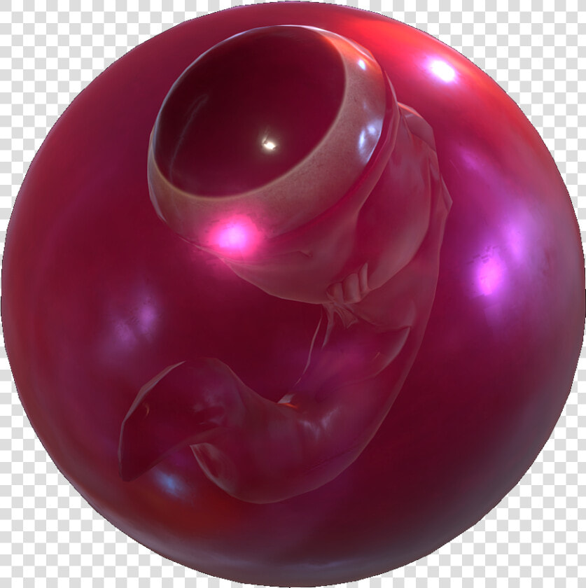 Subnautica Wiki   Red Creature Egg Subnautica  HD Png DownloadTransparent PNG