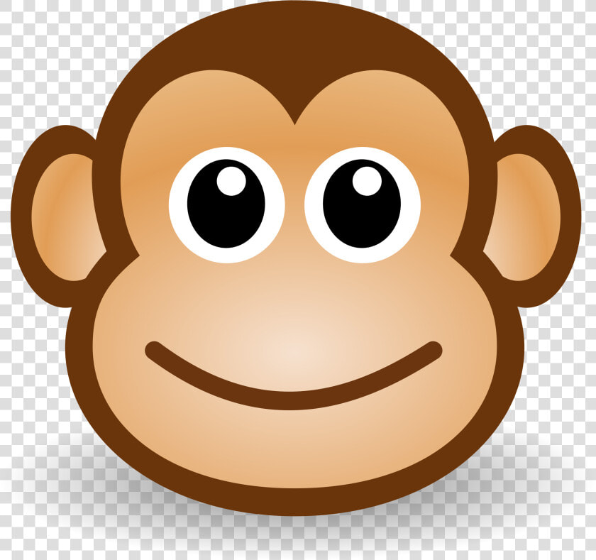 Download Monkey Png Clipart   Monkey Faces  Transparent PngTransparent PNG