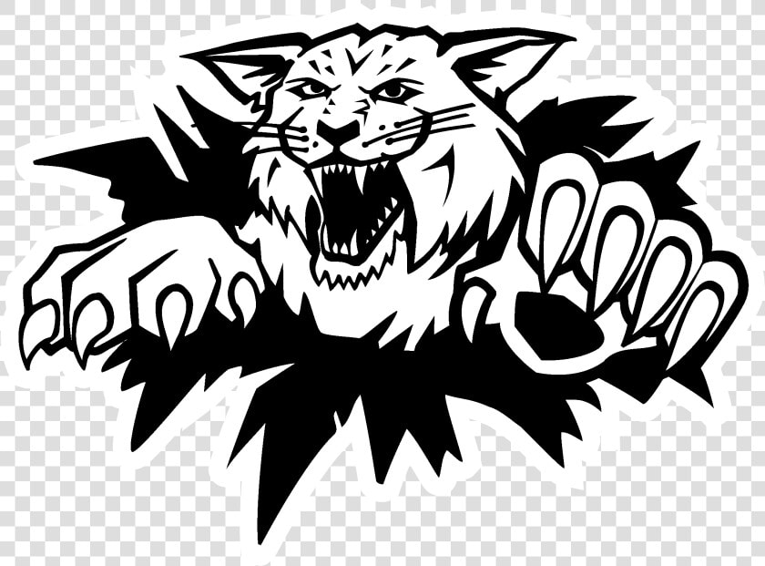 Lion   Moncton Wild Cats  HD Png DownloadTransparent PNG