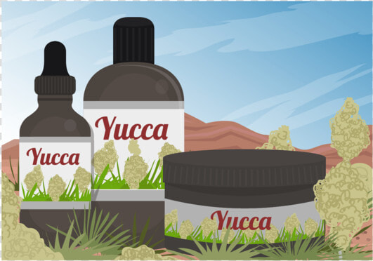 Yucca Scene And Yucca Medicine Extract Of Vector   Tree  HD Png DownloadTransparent PNG