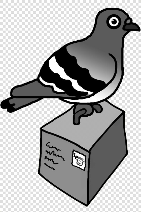 The Pigeon Post Project Is Developing A System Of Technologies  HD Png DownloadTransparent PNG