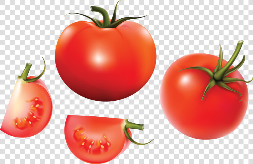 Red Tomatoes   Tomato Vector  HD Png DownloadTransparent PNG