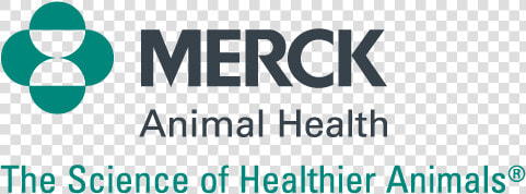 Merck  amp  Co  HD Png DownloadTransparent PNG