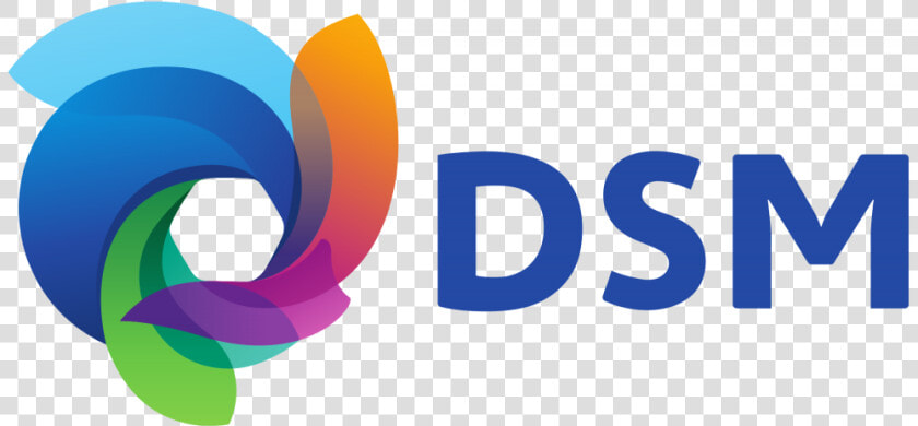 Dsm Logo Png  Transparent PngTransparent PNG