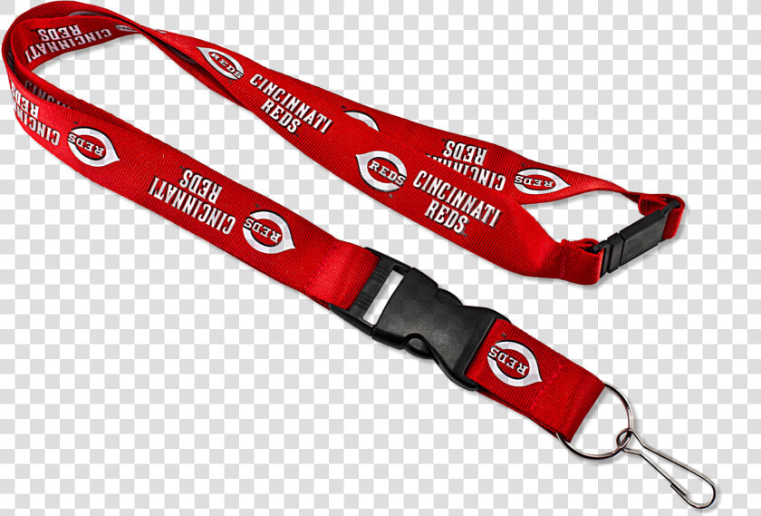 Lanyard  HD Png DownloadTransparent PNG