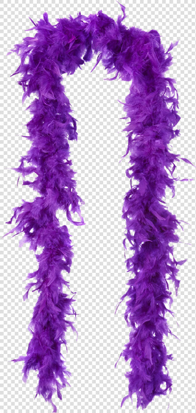 Feather Boa   Background Feather Boa Png Transparent  Png DownloadTransparent PNG