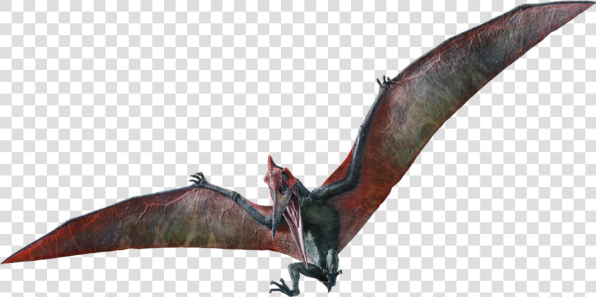 Pteranodon   Jurassic World Fallen Kingdom Pteranodon Png  Transparent PngTransparent PNG