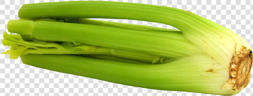 Celery Png Image   Celery  Transparent PngTransparent PNG