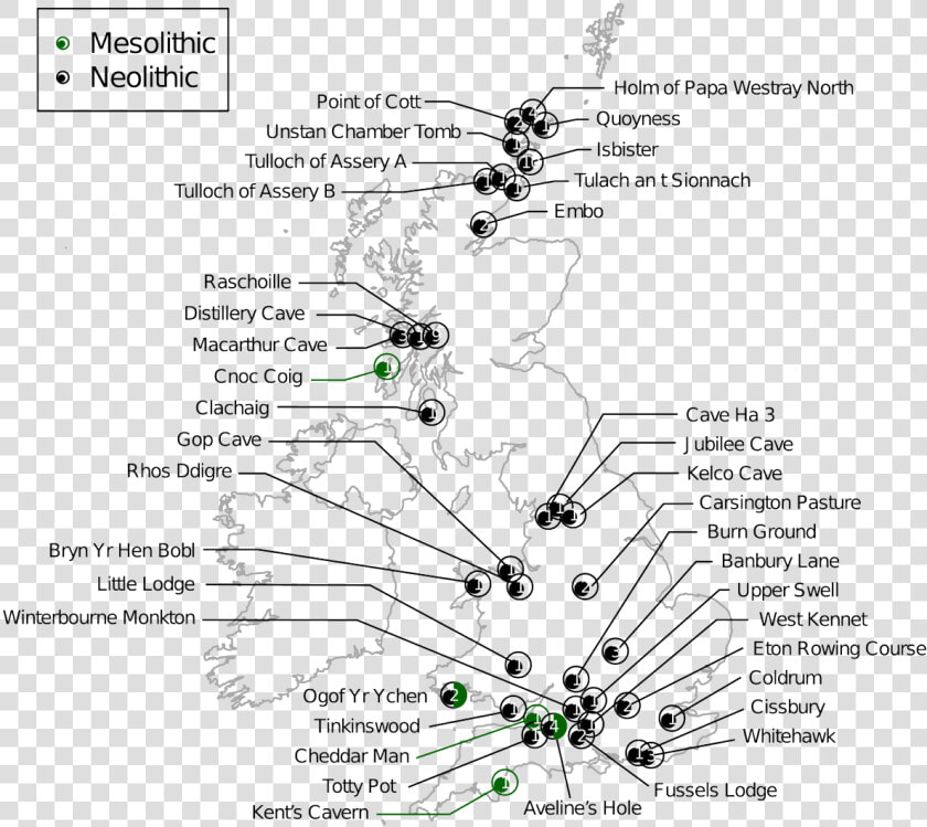 Ancient Genomes Indicate Population Replacement In  HD Png DownloadTransparent PNG