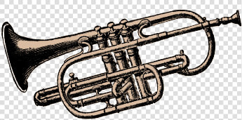 Mellophone Drawing Marching Band Transparent Png Clipart   Trumpet  Png DownloadTransparent PNG