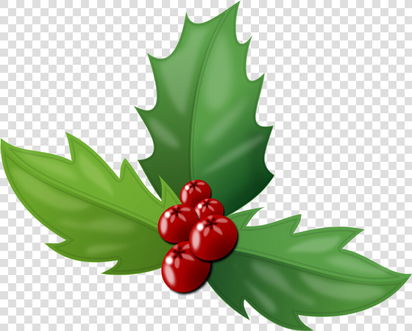 Transparent Holly Red   Holly Berry Png  Png DownloadTransparent PNG