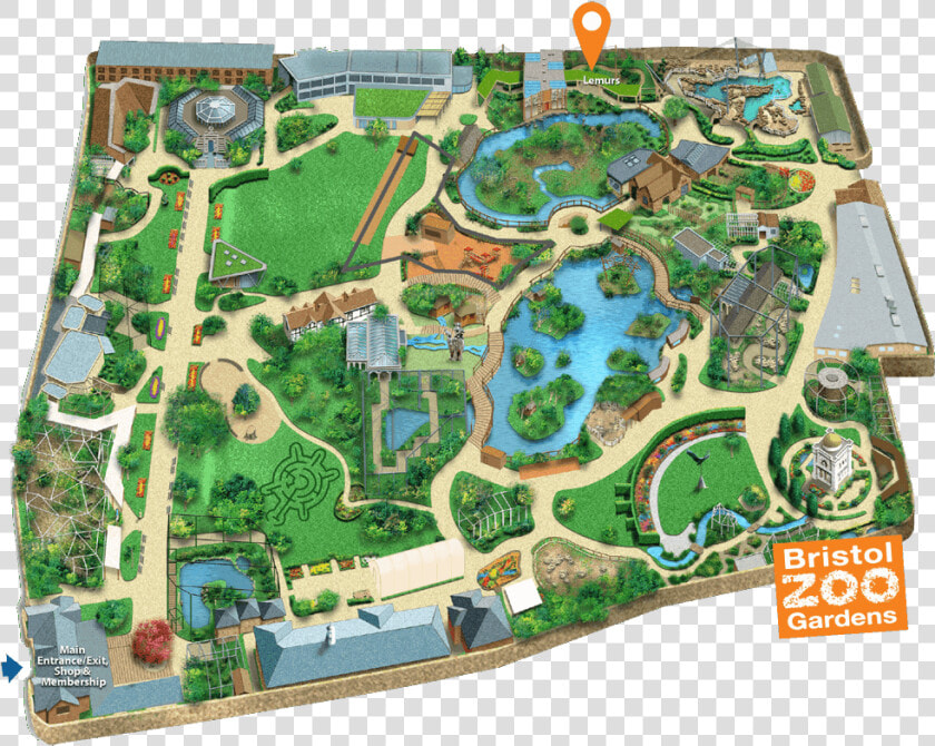 Bristol Zoo Gardens Map  HD Png DownloadTransparent PNG