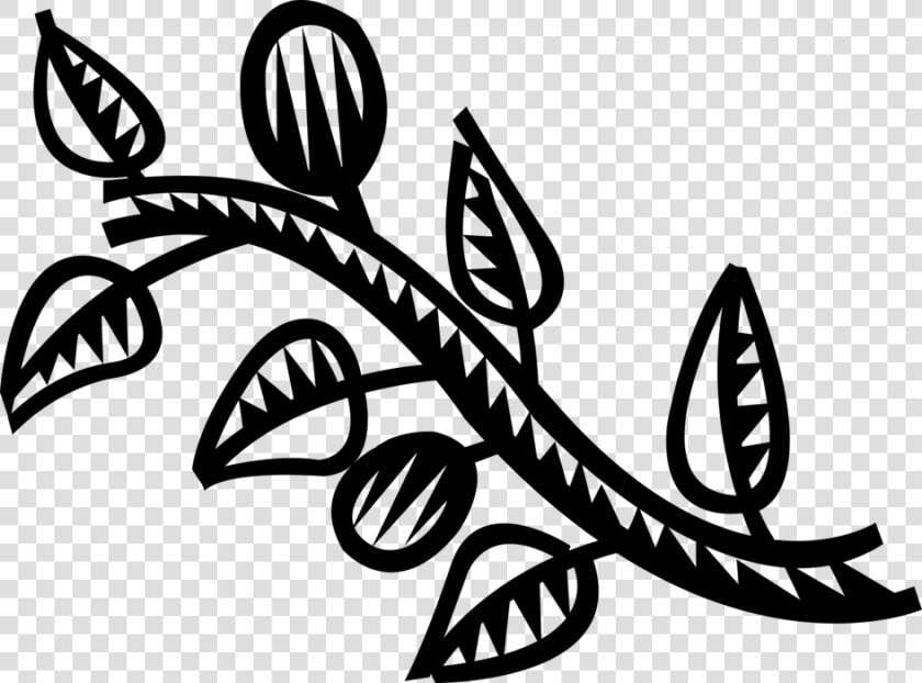 Vector Illustration Of Deciduous Tree Branch With Leaves   Illustration  HD Png DownloadTransparent PNG