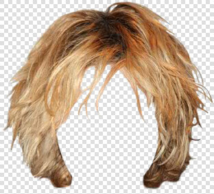 Blond Shaggy Hair Transparent  HD Png DownloadTransparent PNG