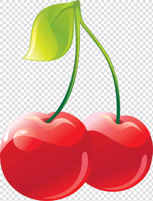 Cherry Clipart Png   Cherry Png Clipart  Transparent PngTransparent PNG