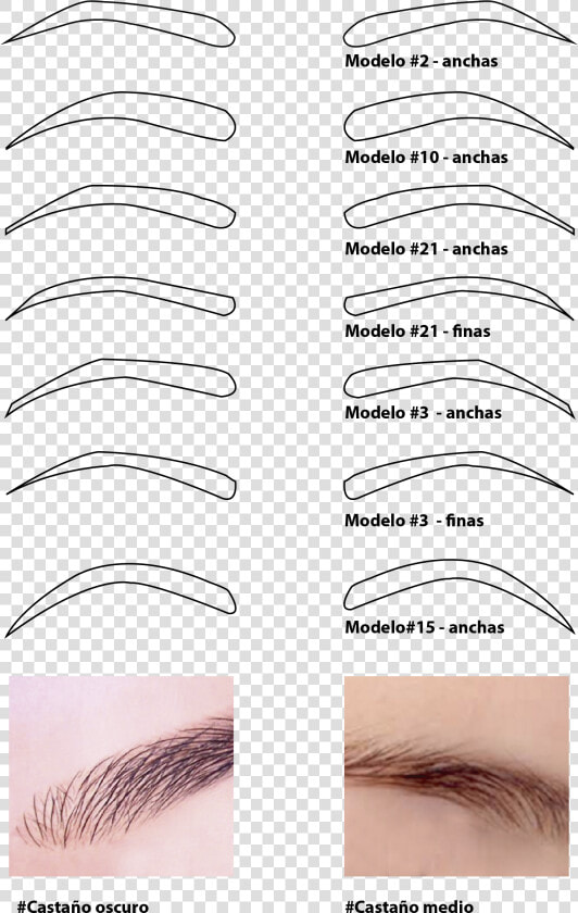 Productos Relacionados Tooltip   Eye Shadow  HD Png DownloadTransparent PNG