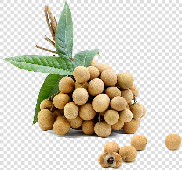 Longan  HD Png DownloadTransparent PNG